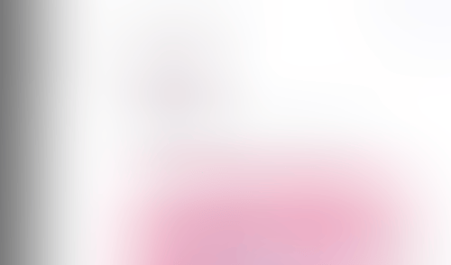 Lingo
			    ux ui design