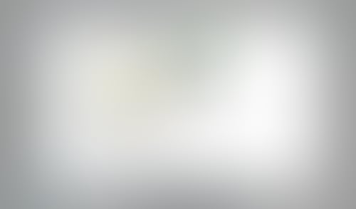 Instant
			              ux ui design