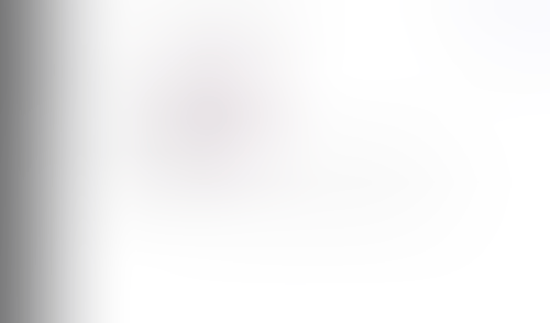 Lingo
			        ux ui design