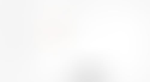 Scribe
			          ux ui design