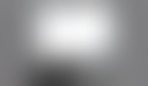 Gamma
			     ux ui design