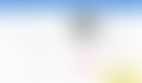 Otter
			                  ux ui design