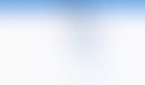 Otter
			      ux ui design