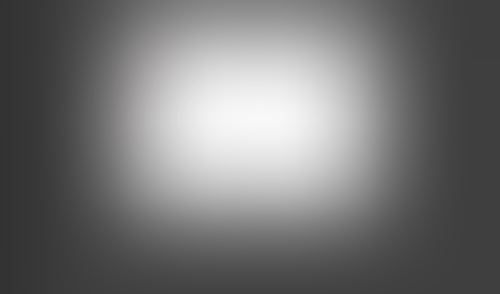 Lingo
			    ux ui design