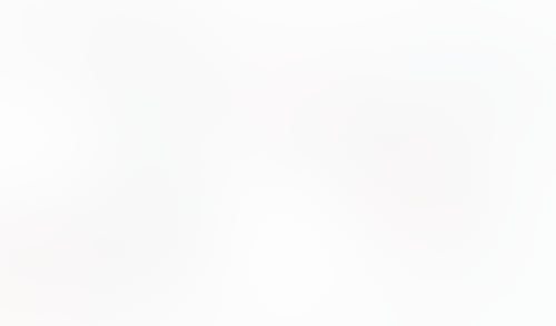 Macaw
			              ux ui design