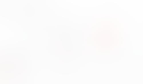 Macaw
			        ux ui design
