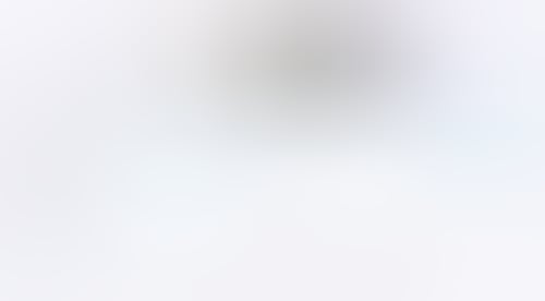 Rise
			 ux ui design