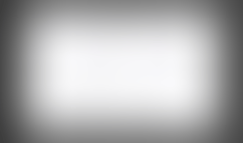 Lingo
			   ux ui design