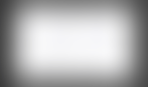 Lingo
			    ux ui design