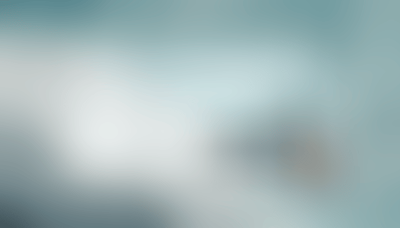 Shuttle
			     ux ui design