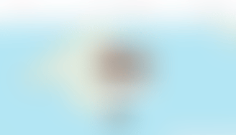 Airbnb
			        ux ui design