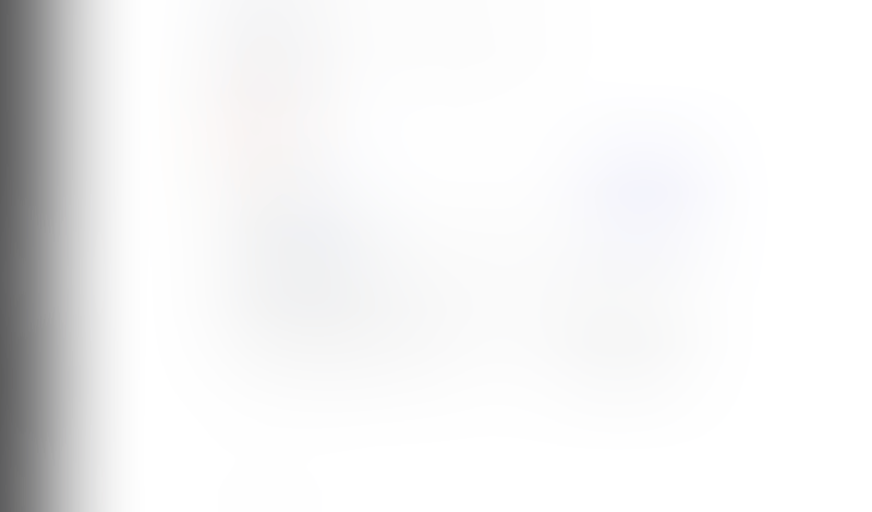 Lingo
			   ux ui design