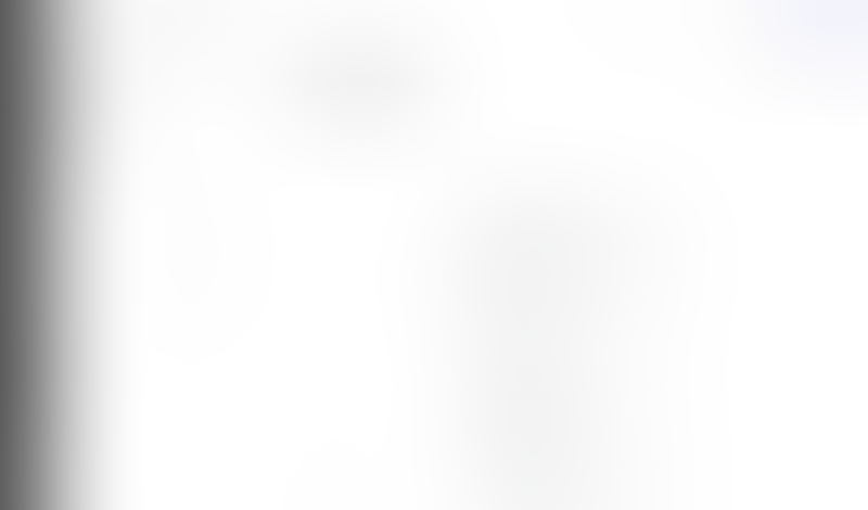 Lingo
			     ux ui design