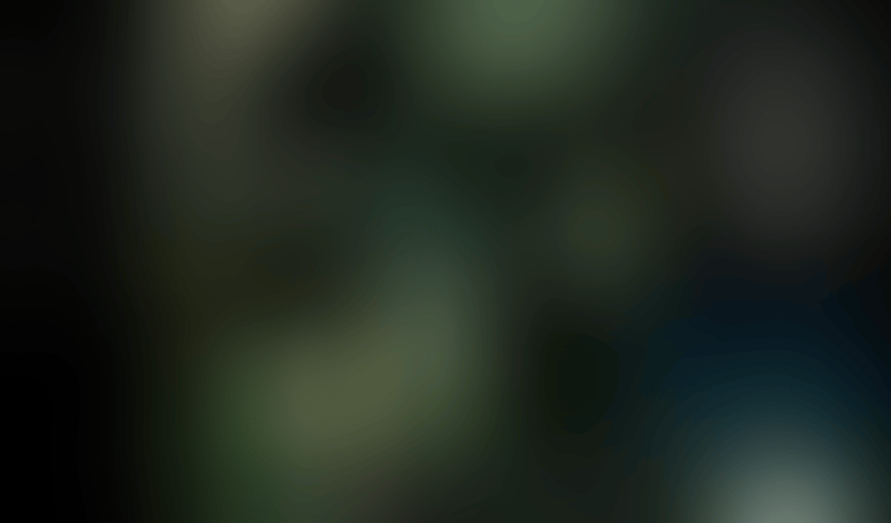 Sora
			               ux ui design