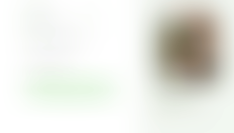 Bonsai
			      ux ui design