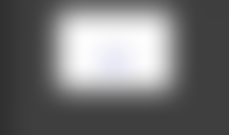 Lingo
			         ux ui design