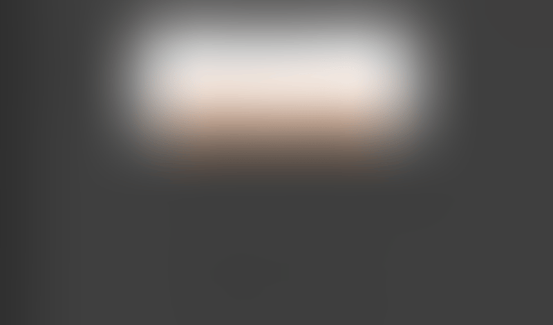 Lingo
			    ux ui design