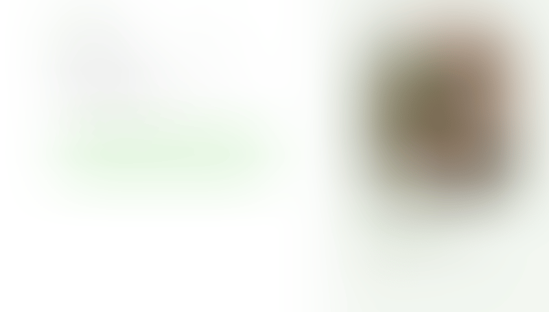 Bonsai
			       ux ui design