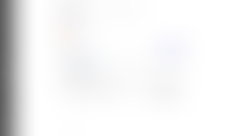 Lingo
			     ux ui design