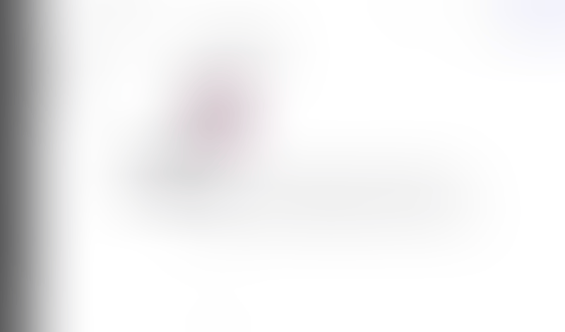 Lingo
			     ux ui design