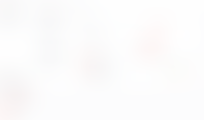 Macaw
			         ux ui design