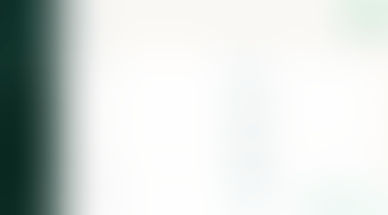 Expensify
			       ux ui design