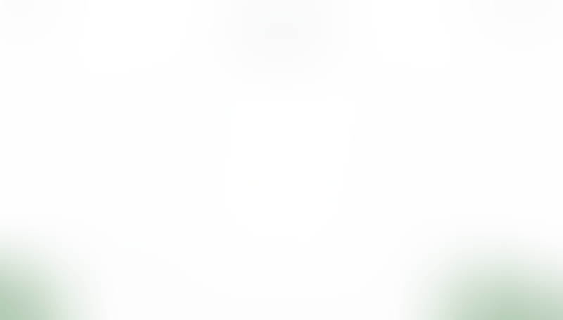 Bonsai
			          ux ui design