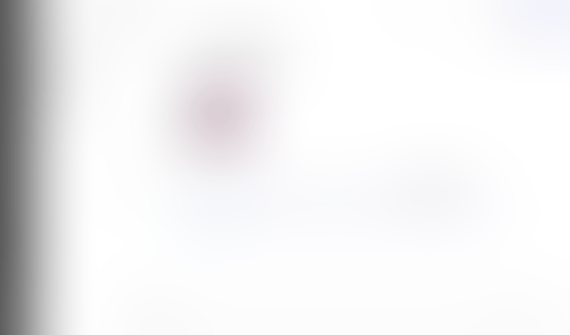 Lingo
			     ux ui design