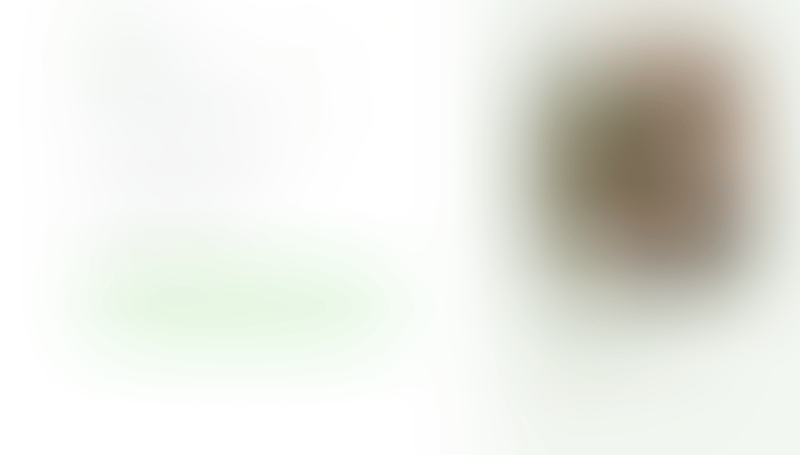 Bonsai
			       ux ui design