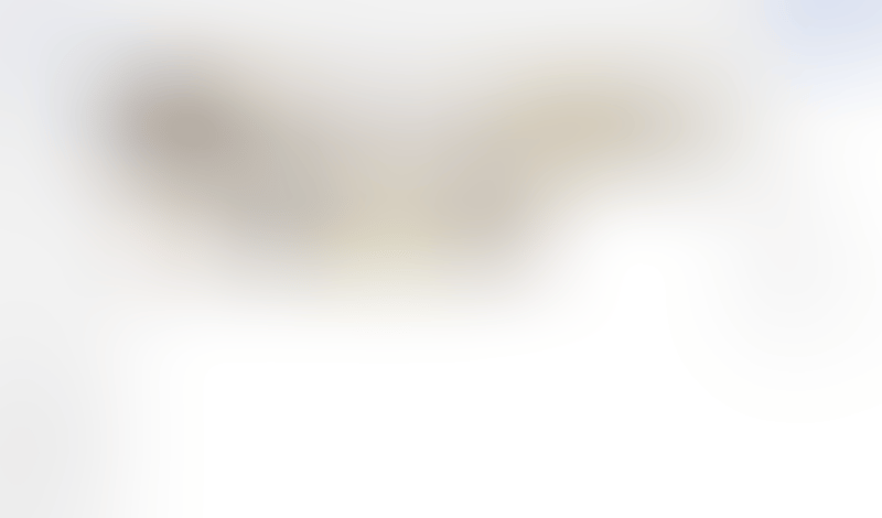 V7
			                    ux ui design