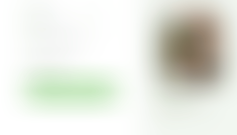 Bonsai
			       ux ui design