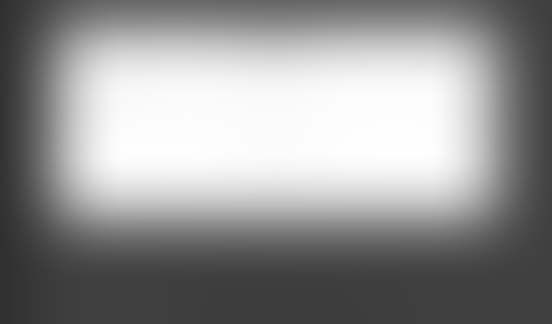 Lingo
			    ux ui design