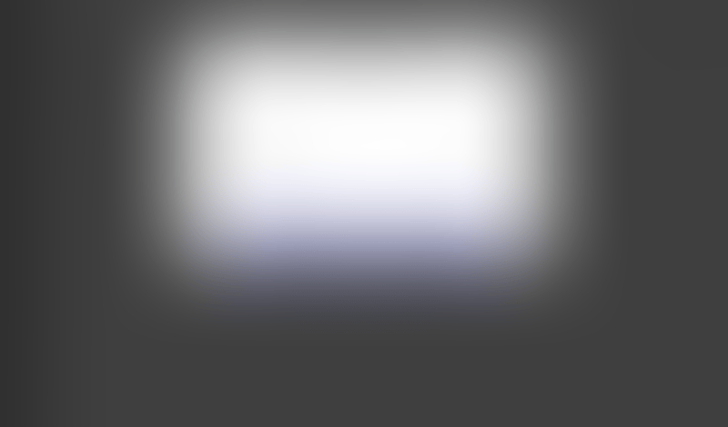 Lingo
			     ux ui design