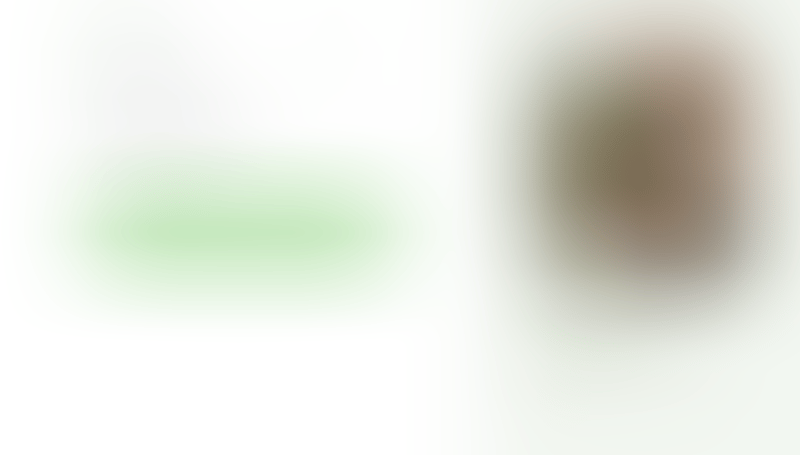 Bonsai
			         ux ui design