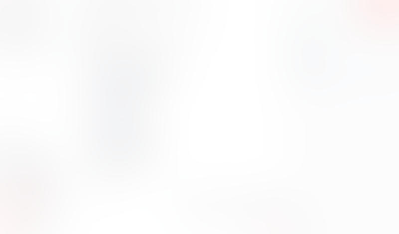 Macaw
			             ux ui design