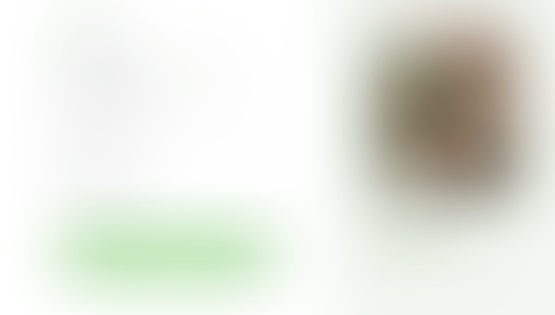 Bonsai
			      ux ui design