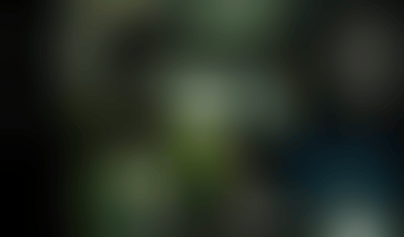 Sora
			               ux ui design