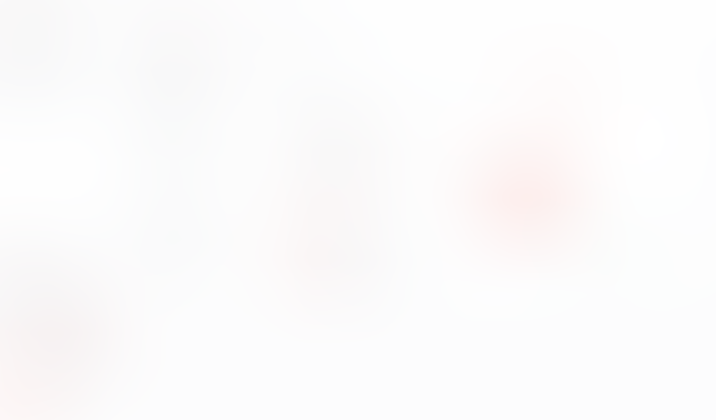 Macaw
			         ux ui design
