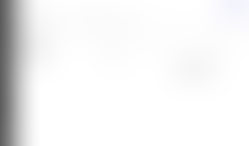 Lingo
			       ux ui design