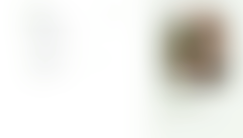 Bonsai
			   ux ui design