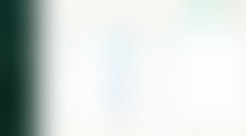 Expensify
			            ux ui design