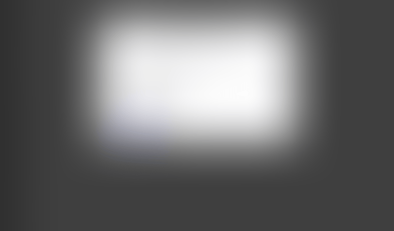 Lingo
			     ux ui design