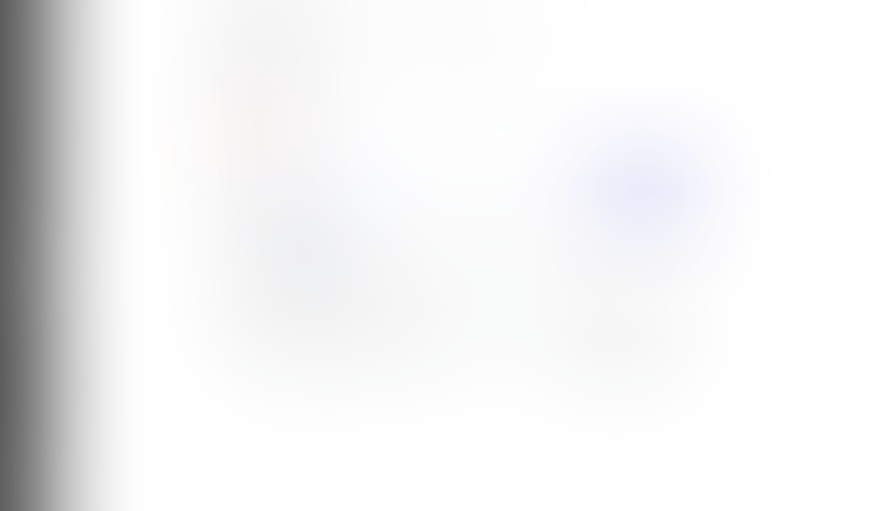 Lingo
			      ux ui design