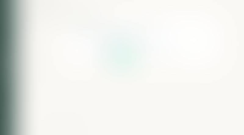 Expensify
			              ux ui design