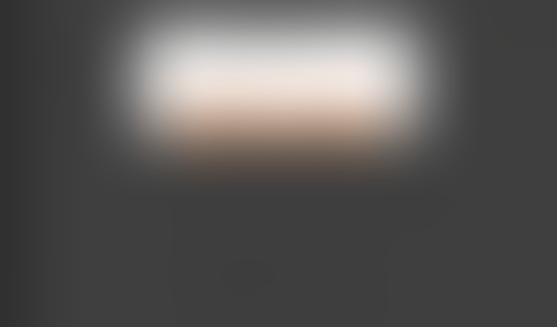 Lingo
			     ux ui design