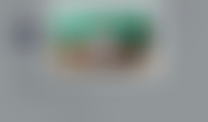 Podia
			       ux ui design