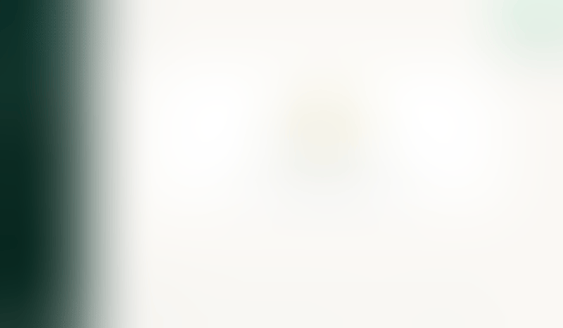 Expensify
			           ux ui design