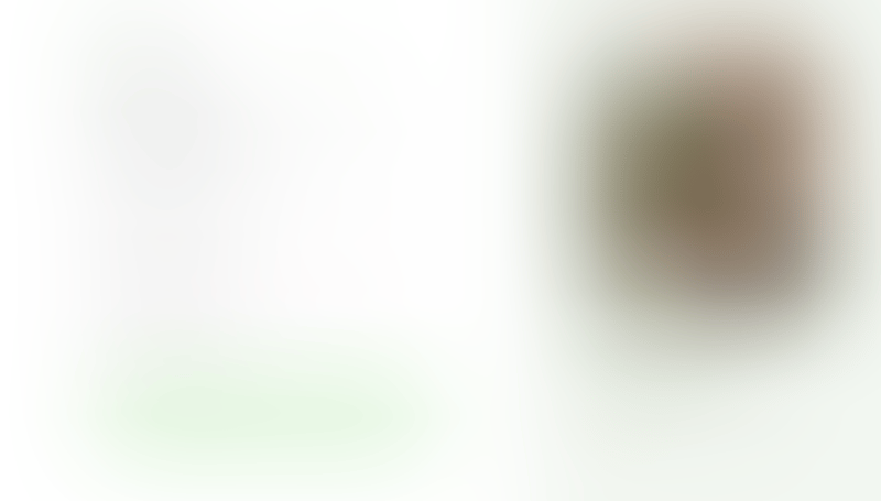 Bonsai
			      ux ui design