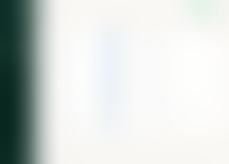 Expensify
			           ux ui design