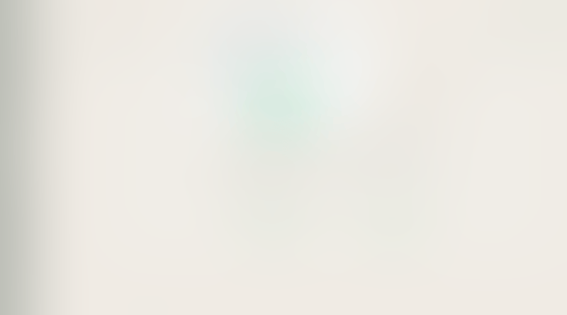 Expensify
			                 ux ui design